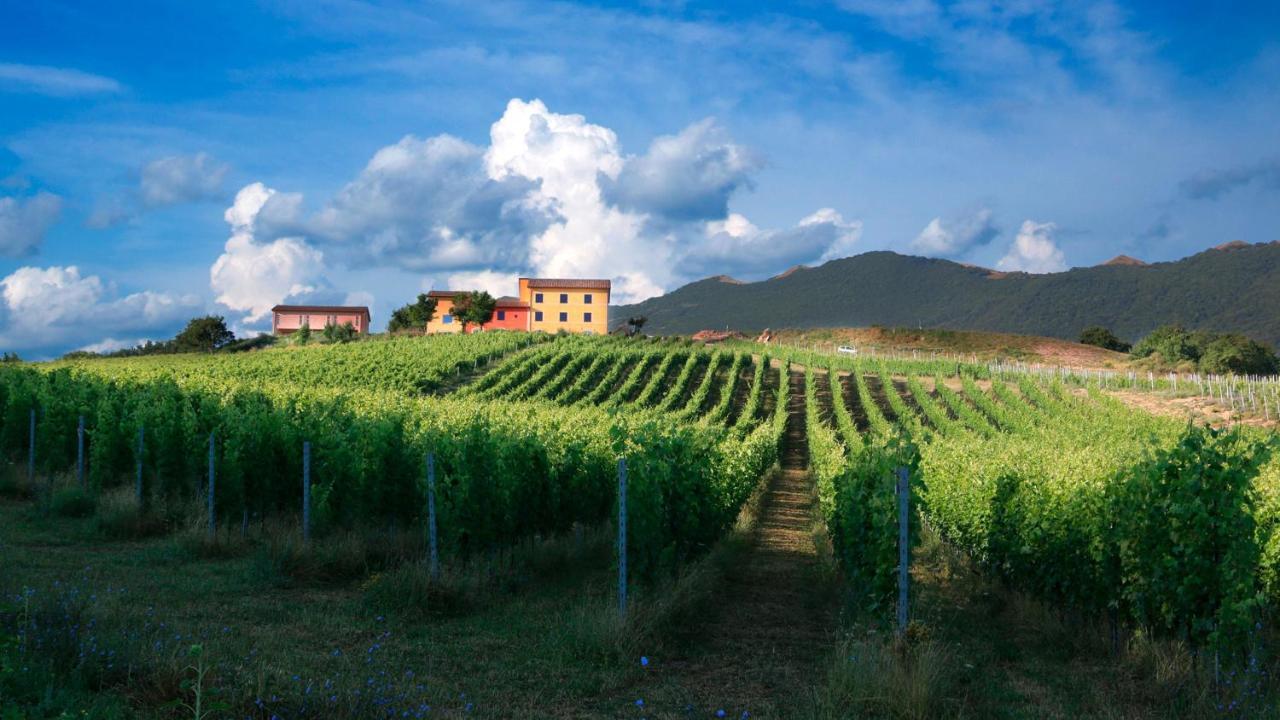 Tenuta Grimaldi Wine Resort Matelica Εξωτερικό φωτογραφία