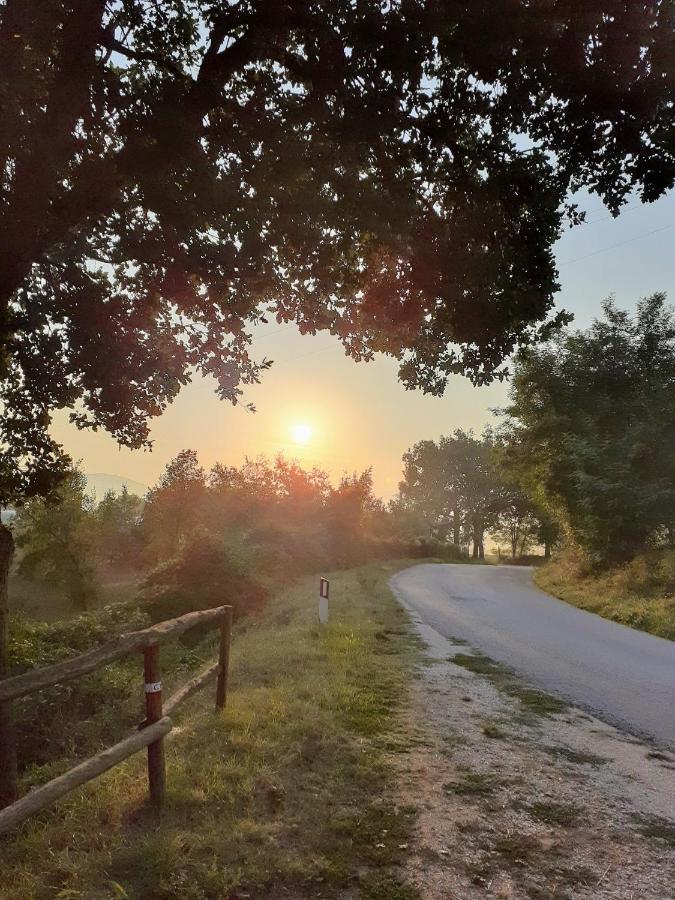 Tenuta Grimaldi Wine Resort Matelica Εξωτερικό φωτογραφία