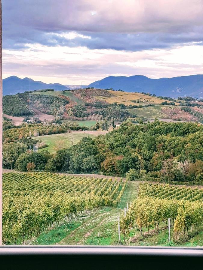Tenuta Grimaldi Wine Resort Matelica Εξωτερικό φωτογραφία